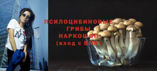 мяу мяу мука Алзамай