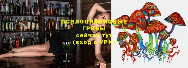 мяу мяу мука Алзамай